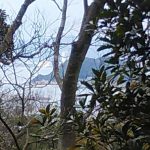 近隣尾根より天津漁港(周辺)