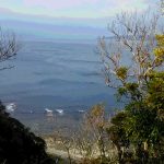 近隣尾根より天津漁港(周辺)